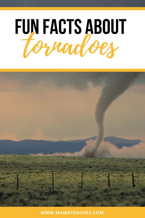 Tornado School Project, Tornado Facts, Tornado Science, Tornado Project, 4th Grade Science Projects, Homeschool Themes, Science Project Models, Nature Camp, Geography Project