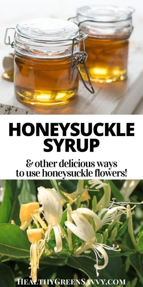 Best Honeysuckle Recipes You Need to Try this Season Herb Magic, Eating Flowers, Home Apothecary, Honey Suckle, Kitchen Gardens, Seasonal Eating, Foraging Recipes, Pioneer Life, Homestead Ideas