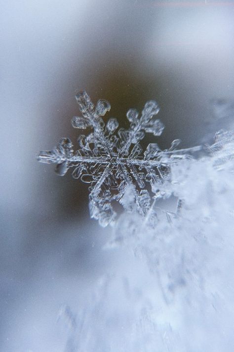 Perfect snowflake Aesthetic Snowflake Wallpaper, Snowflake Aesthetic Wallpaper, Snowflakes Aesthetic Wallpaper, January Aesthetic Wallpaper, Snowflakes Aesthetic, Snowflake Aesthetic, Noel Aesthetic, Perfect Snowflake, January Moodboard