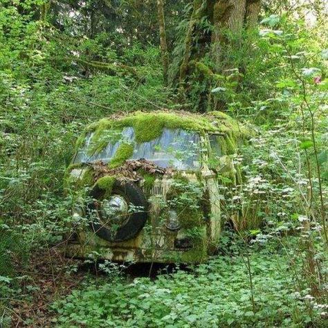 40 Hauntingly Beautiful Abandoned Places And Forgotten Things - Feels Gallery Matka Natura, Vw Vintage, Moss Garden, Abandoned House, Abandoned Cars, Old Car, Abandoned Buildings, Alam Yang Indah, Abandoned Houses