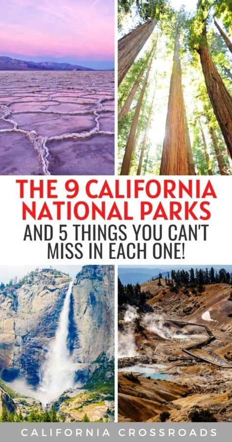 The 9 Epic National Parks in California ( 45 Can’t-Miss Sights) National Park Bucket List, National Parks In California, Pinnacles National Park, Best National Parks, Channel Islands National Park, Lassen Volcanic National Park, Redwood National Park, National Park Road Trip, Visit California