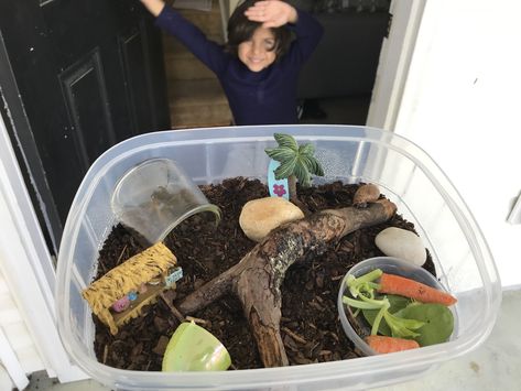 I made a snail habitat for about $10 today for our garden snail. Organic soil was used as the substrate. It has things to crawl on/in to keep it busy. I think he/she is going to love it here. Mini Terrarium Ideas, Snail Enclosure, Snail Habitat, Snail Terrarium, African Snail, Snail Garden, Snail Tank, Frog Habitat, Garden Snail