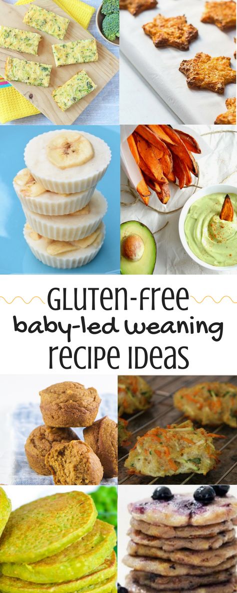 Baby Food 6 Months, Fingerfood Baby, Tarte Vegan, Baby Led Weaning First Foods, Baby Led Weaning Recipes, Weaning Recipes, Homemade Baby Food, Gluten Free Recipes Easy, Diet Vegetarian