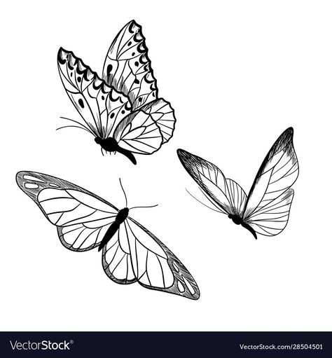 Butterfly Line Drawing, Tattoo Care Instructions, Three Butterflies, Butterfly Sketch, Realistic Temporary Tattoos, Custom Temporary Tattoos, Tattoo Care, Butterfly Drawing, Hand Drawn Vector