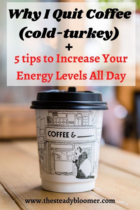 If you drink coffee everyday, chances are you're tired of needing it to get through your day and feeling like a zombie when you skip your morning cup. I'll be sharing the reason why I quit coffee (and cold turkey too!) and the 5 different things I did to keep me energized during the process of quitting! Quitting Coffee, Quit Coffee, Caffeine Withdrawal, American Drinks, High Sugar, Coffee History, Lack Of Energy, Nutritious Breakfast, I Quit