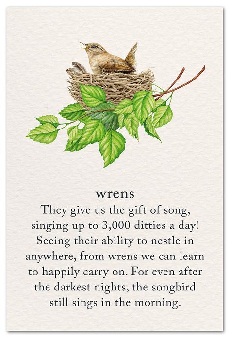 Bird Quotes Inspirational, Wren Symbolism, Pet Condolences, Support Encouragement, Smelling Flowers, Bird Quotes, Caregiver Support, Homemade Card, New Babies