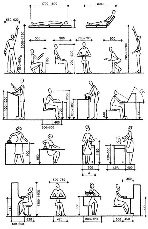 History and Basics of Anthropometry Architect Data, Human Dimension, Desain Pantry, Cozy Basement, Design Rules, Finished Basement, Architecture Sketch, Built Environment, Basement Ideas