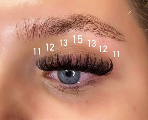 15mm Lash Extensions, Volume Eyelash Extensions Mapping, Mega Lash Extensions Mapping, Volume Set Lash Extensions Mapping, 10mm Lash Extensions, Mega Lash Map, Dramatic Lash Mapping, Lash Extensions With Numbers, Lash Extensions Sizes