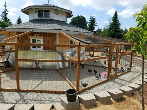 Chicken Coop With Multiple Runs, Epic Chicken Coop, Fancy Chicken Coop Designs, Chicken Coop Mansion, Chicken Run Interior Ideas, Multiple Chicken Coop Ideas, Octagon Chicken Coop, Coyote Proof Chicken Coop, Farm Enclosures