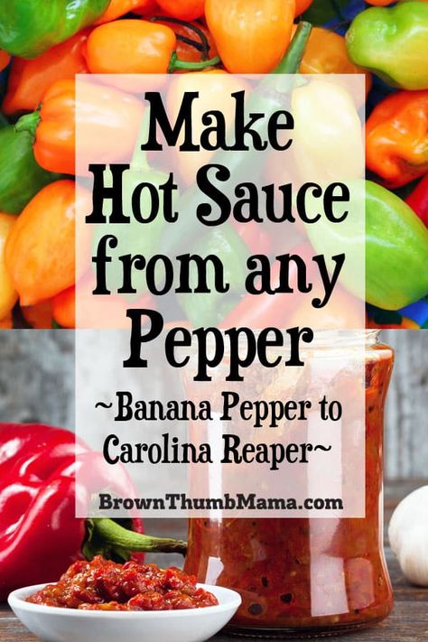 Banana Pepper Hot Sauce, Homemade Hot Sauce Recipe, Hot Pepper Recipes, Hot Sauce Recipe, Pepper Sauce Recipe, Homemade Hot Sauce, Recipes Mexican, Hot Sauce Recipes, Carolina Reaper