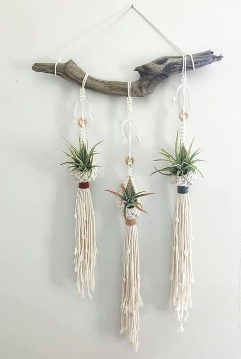 Plant Chandelier, Diy Macrame Plant Hanger Pattern, Mason Jar Hanging, Air Plants Diy, Air Plants Decor, Macrame Plant Hanger Tutorial, Macrame Plant Hanger Patterns, Makramee Diy, Weaving Loom Projects