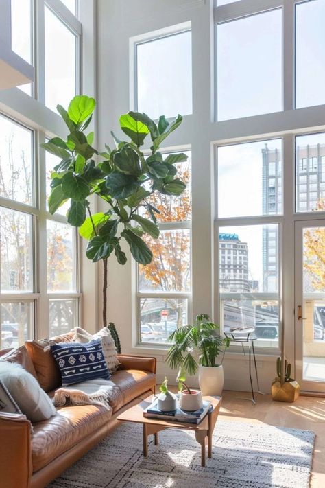 Home Plants Aesthetic, Plant Ideas Indoor, Plants Low Light, Home Plant Decor, Indoor Olive Tree, Indoor Plant Ideas, Indoor Plants Low Light, Plant Styling, Exotic Homes