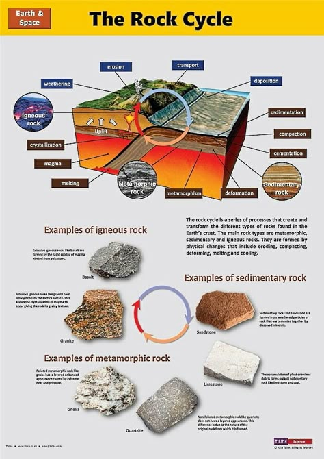 Basic Geography, Earth Science Lessons, Types Of Rocks, Science Board, Science Earth, Rock Cycle, Physical Geography, Indian History Facts, Cool Science Facts