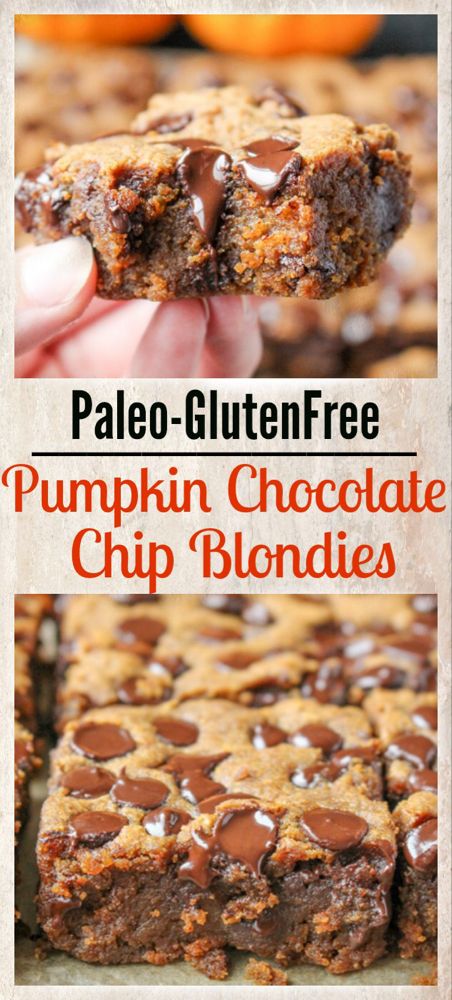 Gluten Free Pumpkin Chocolate Chip, Paleo Pumpkin Recipes, Chocolate Blondies, Chocolate Chip Blondies, Paleo Baking, Paleo Pumpkin, Pumpkin Chocolate Chip, Paleo Sweets, Muffin Recipes Blueberry