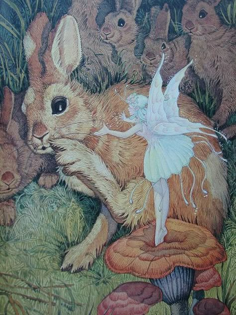 Velveteen Rabbit. Fairy Illustration, Fairy Pictures, Vintage Fairies, Fairies Elves, Fairy Magic, Flower Fairies, Fairytale Art, Alphonse Mucha, Fairy Angel