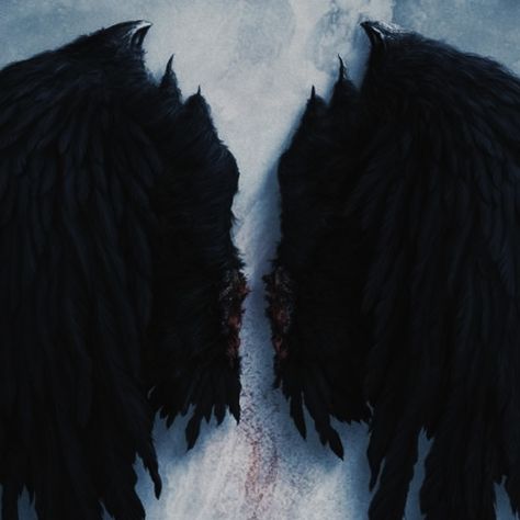 Demoncore Aesthetic, Crescent City Book, Demon Core, Fallen Angel Aesthetic, Demon Aesthetic, Devil Aesthetic, Angel Demon, Demon Wings, Black Angel Wings