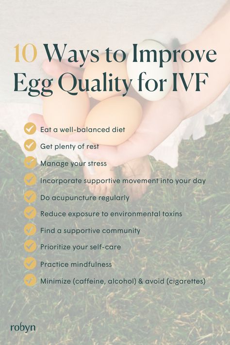 Improving Egg Quality Fertility, Egg Health Fertility, Freezing Eggs Fertility, Egg Freezing Fertility For Women, How To Improve Egg Quality Fertility, Egg Quality Fertility Improve, Improve Egg Quality Fertility, Egg Freezing Fertility, Ivf Implantation