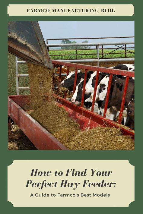 Hay Farming, Cow Feeder, Cattle Feeder, Automatic Feeder, Hay Feeder, Beef Cattle, Pet Health, Cow