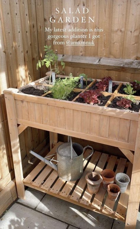 Herb Cart, Renter Friendly Garden, Raised Herb Garden Ideas, Apartment Greenhouse, Organized Garden, Small Backyard Garden, Small Vegetable Garden, Salad Garden, Apartment Ideas Aesthetic