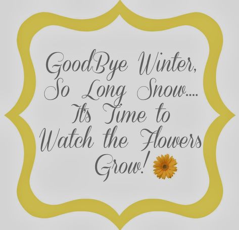 GoodBye Winter.... Hello Spring! Hello Spring Quotes, Goodbye Winter Hello Spring, Nyc Study, Winter Instagram Captions, Winter Break Quotes, Family Landscape, Goodbye Winter, Break Quotes, Last Day Of Winter