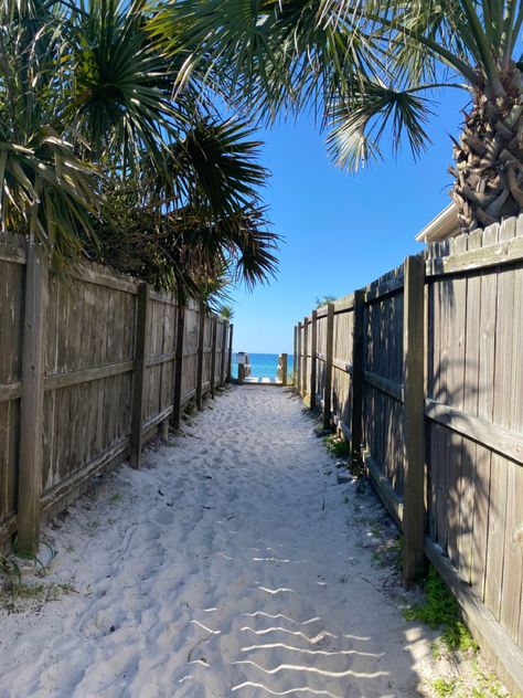 #florida #beach #vacation #travel #vsco Beachy Bungalow, Beach Walkway, Florida Aesthetic, Southern Magnolia, Florida Condos, Venice Florida, Florida Life, Florida Trip, Florida Living