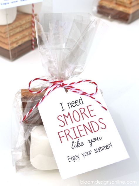 Cute End of the School Year Gift for Friends - I need Smore Friends like you! Free print on { lilluna.com } For Students, Classmates Gifts, More Friends, Cute Gifts For Friends, Gifts For, Class Gift, End Of School Year, Year End, Summer Gifts