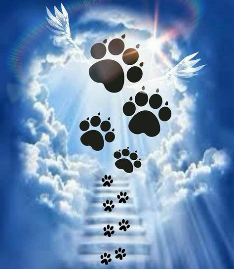 "We shall meet again my Beloved Dog @ Rainbow Bridge!" Tattoo Memorial, Dogs Tattoo, Dog Heaven, Pet Remembrance, Mosaic Crosses, 강아지 그림, Yorkie Dogs, Cross Paintings, Beloved Dog