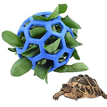 13 Best Toys For Turtles + Enrichment Activities (MY BOY LOVES #11) Tortoise Enrichment Toys, Sulcata Tortoise Enrichment, Diy Tortoise Habitat Indoor Easy, Toys For Tortoises, Turtle Toys For Turtles, Small Tortoise Enclosure, Tortoise Enrichment Ideas, Enrichment For Zoo Animals, Sulcata Tortoise Habitat Indoor