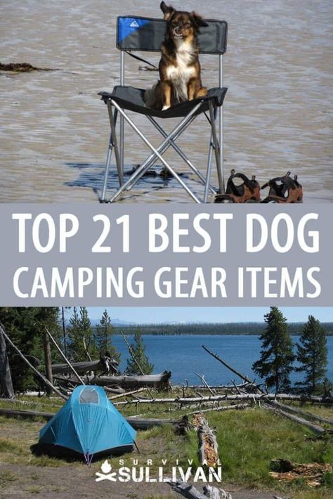 Hiker Trailer, Lightweight Camping Gear, Dog Camping Gear, Camping Gear Storage, Camping Gear Gadgets, Caravan Vintage, Camping Dog, Adventure Dog, Spring Camping