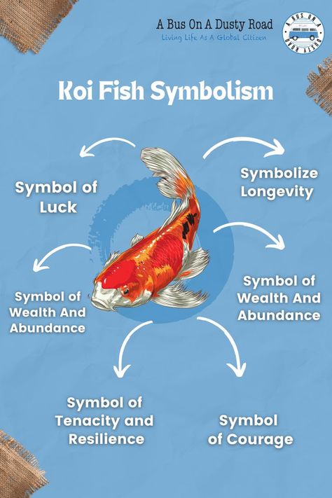 The Koi fish have many symbols, from their color to the fish itself. The fish can bring you positive energy, good luck, and fortune. That is why the Koi fish remains a prevalent fish in Asia and worldwide. #ABusOnADustyRoad #GlobalCitizen #DoUKnow #FunFacts #KoiFish Fish Symbolism, Animal Totem Spirit Guides, Koi Fish Colors, Yin Yang Koi, Fish List, Fish Template, Garden Pond Design, Fish Symbol, Koi Fish Tattoo