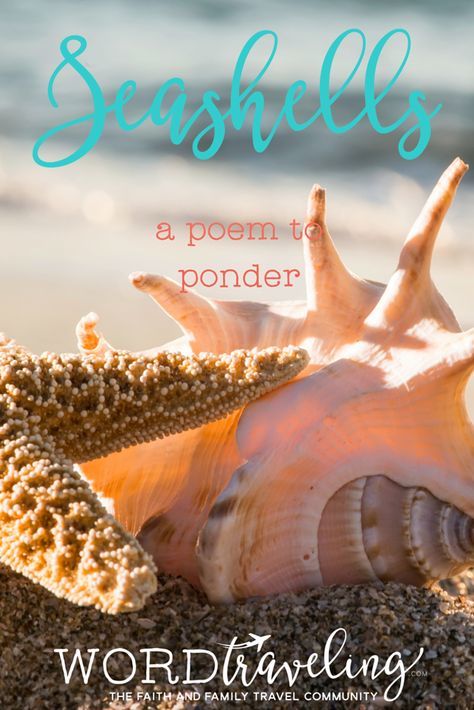 Seashells Poem Shell Quotes Seashells, Seashells Quote, Captiva Island, First Day Of Summer, She Sells Seashells, Sand Dollar, Beach Combing, The Kingdom Of God, Great Stories