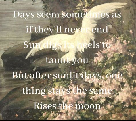 Rises The Moon Lyrics, Rises The Moon Aesthetic, Rises The Moon Song, Moon Song, Song Lyric Quotes, Moon Rise, Plant Decor Indoor, All The Feels, Collage Poster