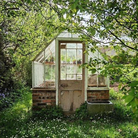 Oak Greenhouse, Small Greenhouse Aesthetic, Swedish Greenhouse, Greenhouse Decor, Cottage Greenhouse, Greenhouse Glass, Functional Garden, Place Your Bets, Space Garden