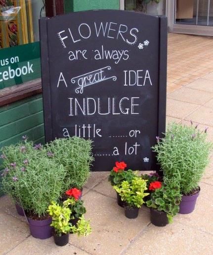 Flower Shop Chalkboard Ideas, Flower Shop Signs Ideas, Greenhouse Inspiration, Feather Wedding Decorations, Market Signage, Flower Shop Display, Friday Flowers, Garden Center Displays, Flower Shop Decor