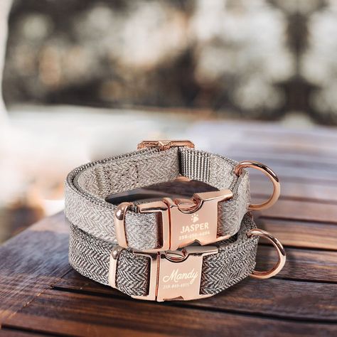 Dog Collar Personalized - Custom Cat Collar with Name Engraved Dog Collar - Personalized Puppy Dog Collar Dog Collar Ideas, Cat Collar With Name, Collar Ideas, Female Dog Collars, Unique Dog Collars, Engraved Dog Collar, Luxury Dog Collars, Dog Collar With Name, Cute Dog Collars