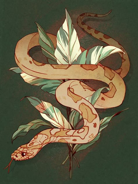 Two Snakes Drawing, Colorful Snake Drawing, Snake Illustration Tattoo, Snake Aesthetic Drawing, Snake Illustration Art, Corn Snake Tattoo, Snake Drawing Sketches, Cute Snake Art, Snake Art Design