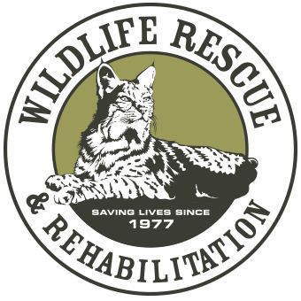 Sanctuary Animal Rescue Logo, Places To Volunteer, Special Animals, Wildlife Rescue, Wildlife Rehabilitation, Animal Art Projects, Vet School, Retirement Fund, Wildlife Sanctuary