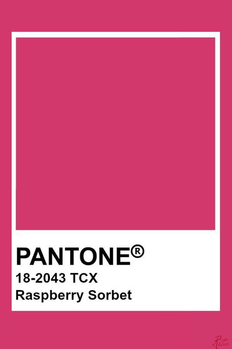 Raspberry Aesthetic Color, Pink Pantone Colors, Fuschia Pantone, Dark Pink Pantone, Pantone Raspberry, Summer Pantone, Pink Pantone, Raspberry Pink Color, Pantone Tcx