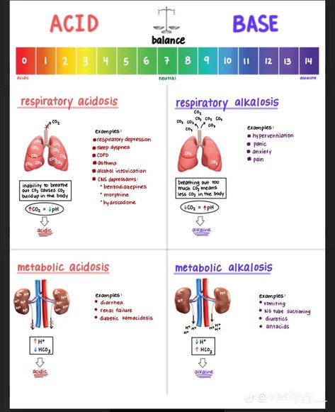 Alkalosis Vs Acidosis Nursing, Acidosis Vs Alkalosis Cheat Sheets, Advance Pathophysiology Nursing, Respiratory Acidosis Vs Alkalosis, Fluid Balance Nursing, Rapid Response Nursing, Paramedic Pathophysiology, Advanced Emt Study, Advanced Pathophysiology Fnp