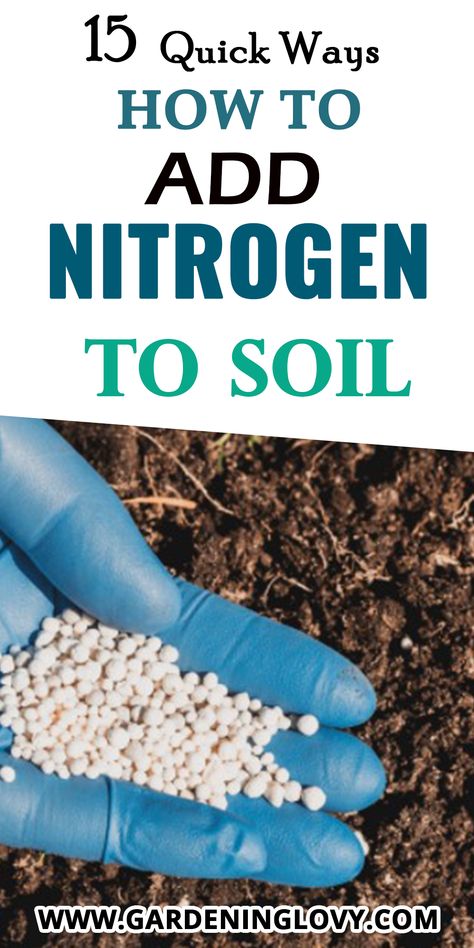 cheap ways to add nitrogen to soil

homemade nitrogen fertilizer for plants

how to add nitrogen to water for plants

how to add phosphorus to soil

how to add potassium to soil

how to add nitrogen to lawn

sources of nitrogen fertilizer

too much nitrogen in soil Add Phosphorus To Soil, Nitrogen For Plants, Homemade Plant Fertilizer, Diy Fertilizer, Garden Prepping, Bucket Gardening, Medicinal Garden, Cucumber Plant, Vegetable Garden Planning