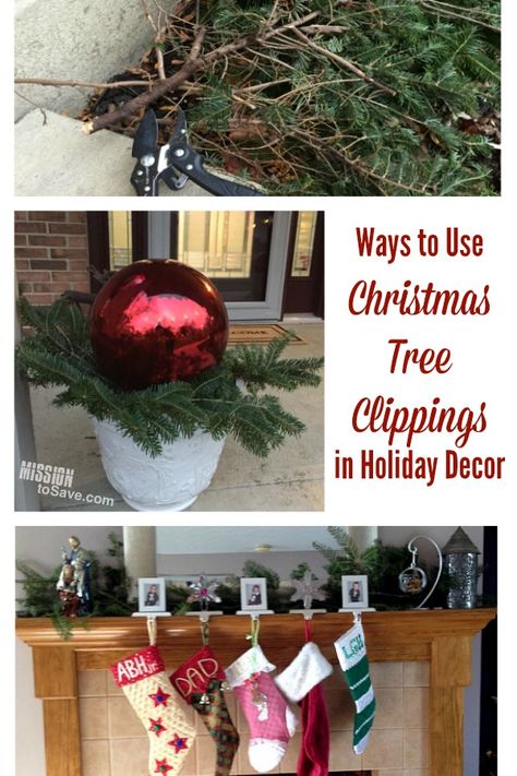 If you get a live tree for the holiday, gather up those Christmas tree clippings! Then see these Ways to Use Christmas Tree Clippings in Holiday Decor. #christmasdecor #christmas #holidaydecor Christmas Tree Lot, Christmas Tree Trimming, Christmas Tree Lots, Live Christmas Trees, Flocked Christmas Trees Decorated, Christmas Tree Branches, Live Tree, Real Christmas Tree, With Christmas Tree