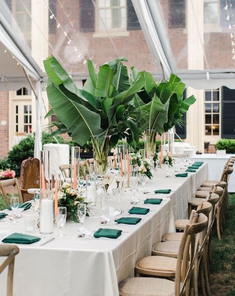 From @blossombaydesign - Party inspo! Love those banana plants in vases Banana Leaf Centerpiece, Banana Leaf Party Decor, Banana Leaf Decor Wedding, Haint Blue Porch, Brass Bud Vases, Banana Leaf Decor, Filipiniana Wedding Theme, Blue Porch, Leaf Decor Wedding