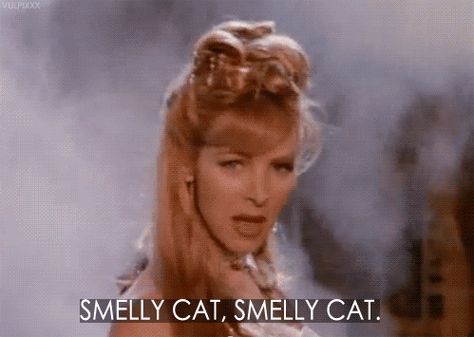 via GIPHY Smelly Cat Friends, Friends Phoebe, Smelly Cat, Cats Musical, Phoebe Buffay, Friends Tv Show, Friends Tv, Funny Cat Videos, Best Tv Shows