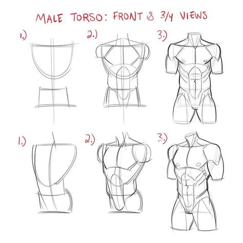 Kyle Petchock (@k_petchock_art) • Fotos e vídeos do Instagram How To Draw Male Torso Step By Step, Back References Male Drawing, Anatomy Torso Reference, Anatomy Reference Torso, Male Torso Drawing Tutorials, Male Torso Drawing Reference, Human Anatomy Art Artworks, How To Draw Male Bodies Anatomy, Torso Drawing Tutorial