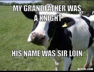 Farm Jokes, Farm Humor, Funny Corny Jokes, Funny Friday Memes, Funny Animals With Captions, Animal Humor, Dad Jokes Funny, Funny Cow, Cow Pictures