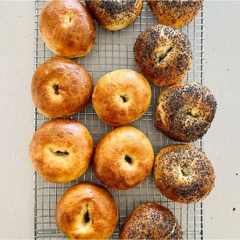 Sourdough Egg Bagel Recipe - The Pantry Mama Sourdough Bagels Pantry Mama, Sourdough Egg Bagels, Egg Bagel Recipe, Egg Bagels, Bagel Calories, The Pantry Mama, Types Of Bagels, Pantry Mama, Egg Bagel