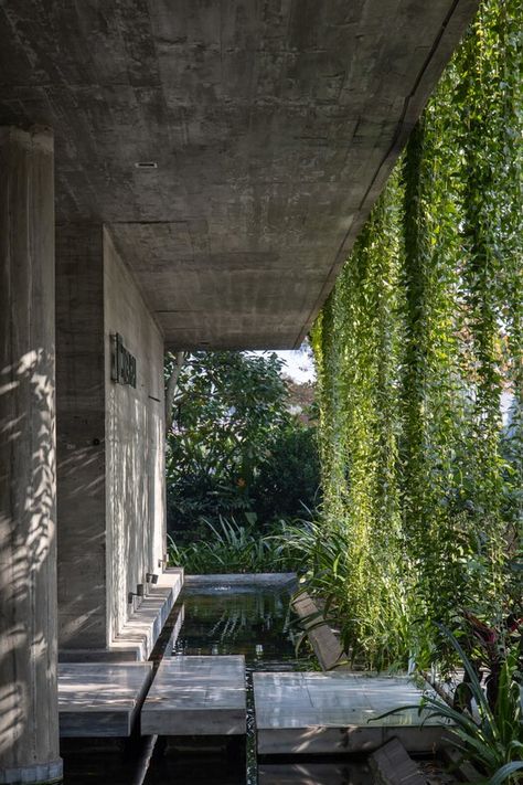 Tropical Brutalism Architecture, Soft Brutalism Interior, Tropical Brutalism, Meditation Office, Eco Brutalism, Brutalism Interior, Brutalist House, Jungle Design, Camping Shop