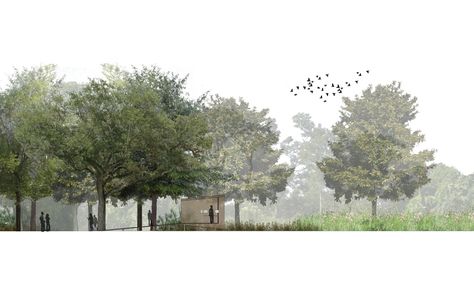 Spackman Mossop and Michaels - Couturie Forest Strategic Plan, 2008 Rendering Plan, Architectural Background, Trees Architecture, Section Plan, Architecture Trees, Tree Rendering Architecture, Tree Rendering Plan, Forest Architecture, Tree Elevation