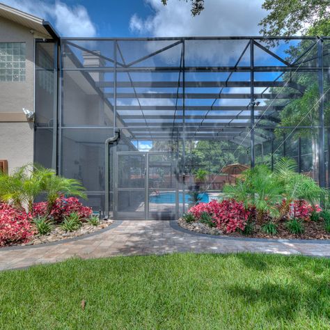 Landscape Around Screened In Pool, Pool Enclosure Landscaping, Florida Pools With Cages Backyard, Landscaping Around Pool Screen Enclosure, Pool Cage Ideas, Screened In Pool Patio Decorating Ideas, Florida Landscaping Around Pool Cage, Pool Cage Privacy Ideas, Pool Lanai Decorating Ideas