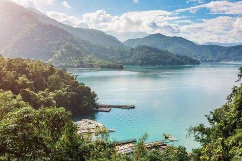 Sun Moon Lake: A Tea Lover’s Paradise – Taiwan Scene Sun Moon Lake Taiwan, Growing Tea, Taiwanese Tea, Sun Moon Lake, Tea Soap, Tea Farm, Tea History, Assam Tea, Tea Varieties